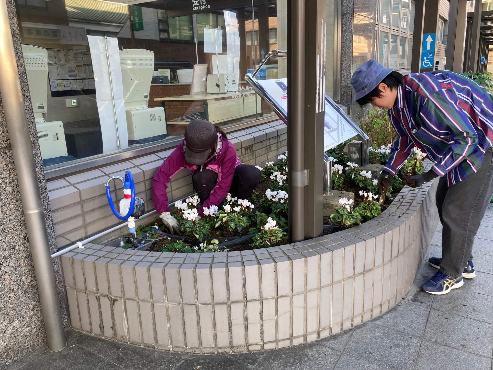 花壇の植替え