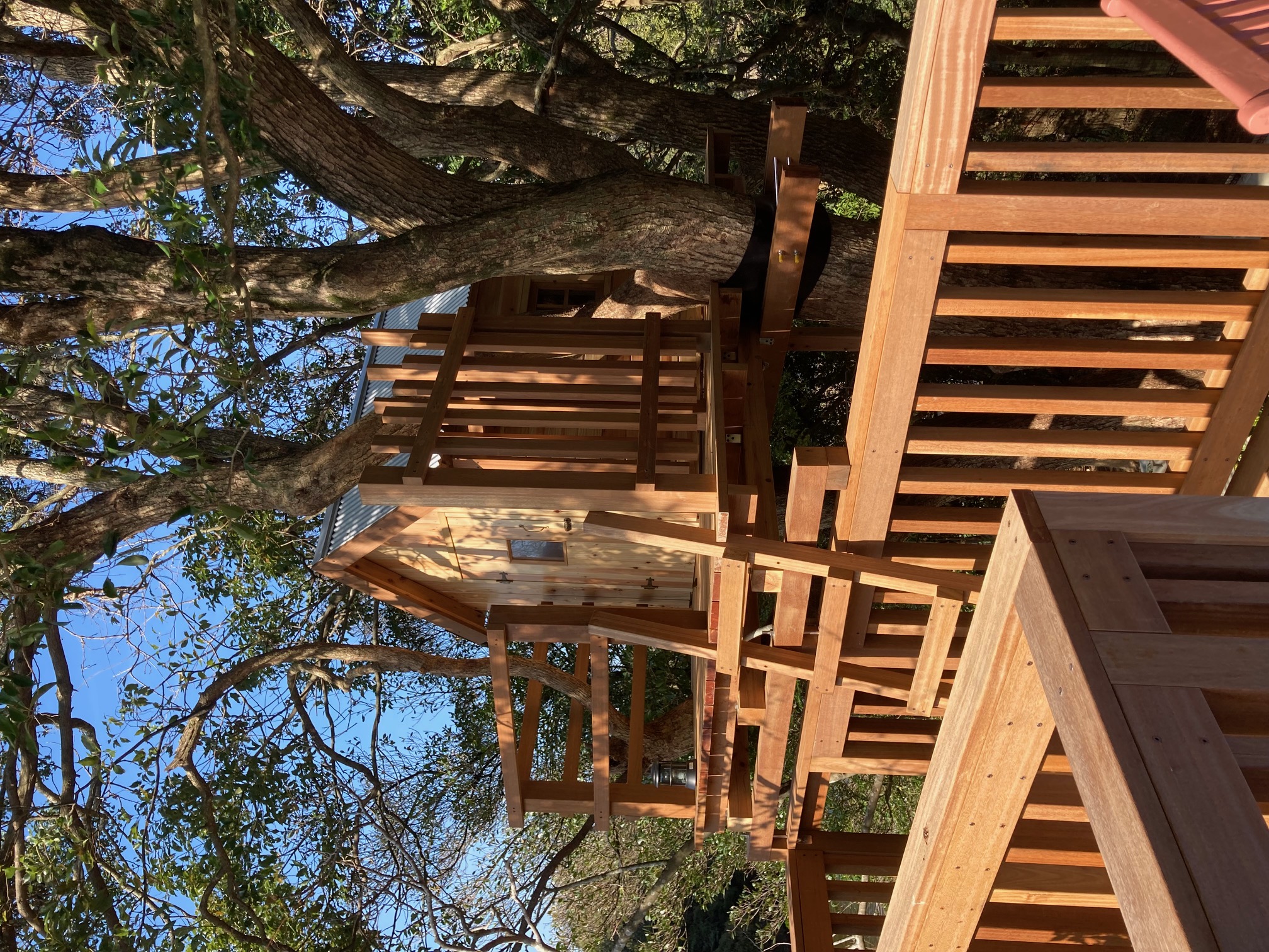 ツリーハウス　3