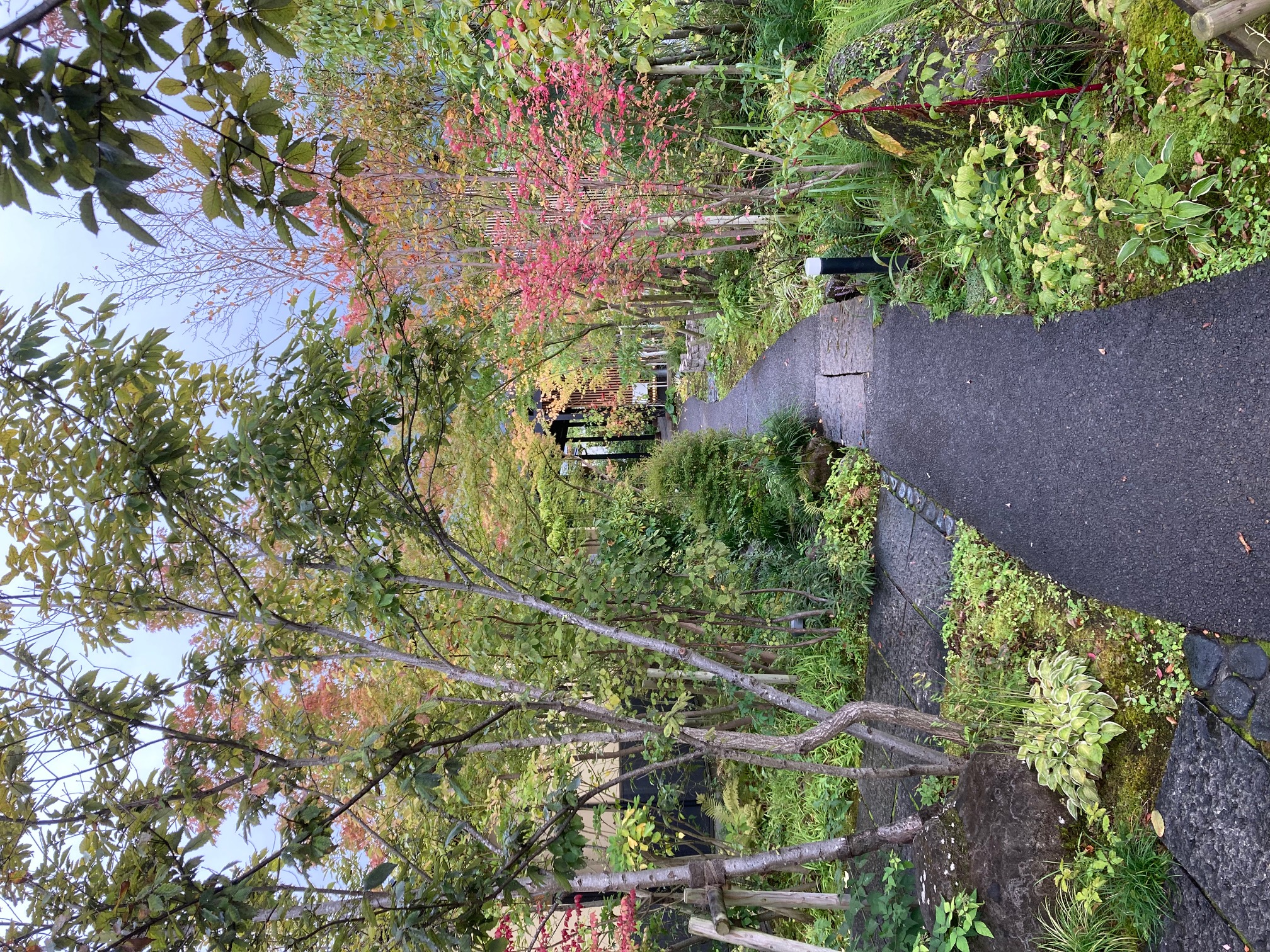 雑木の宿